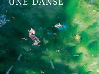 Agrandir l'image - fenêtre modale - Couverture n°13-14 Carnets du paysage.