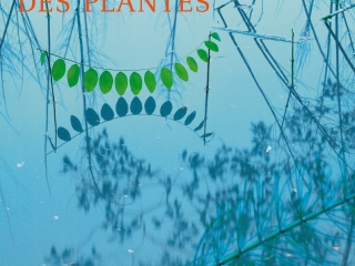 Agrandir l'image - fenêtre modale - Des plantes sur fond bleu