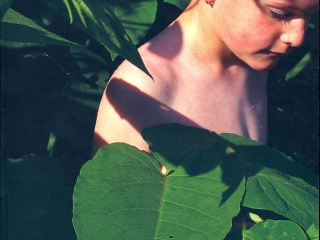 Agrandir l'image - fenêtre modale - Couverture n°9-10 Carnets du paysage.