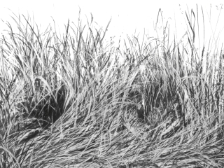 Agrandir l'image - fenêtre modale - Couverture n°24 Carnets du paysage.