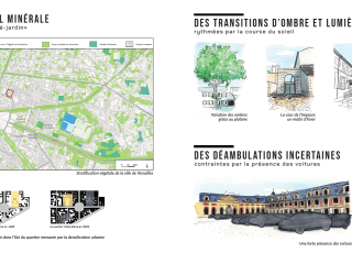 Agrandir l'image - fenêtre modale