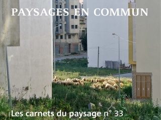 Agrandir l'image - fenêtre modale