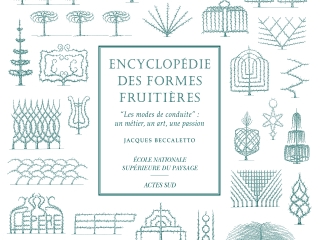 Agrandir l'image - fenêtre modale