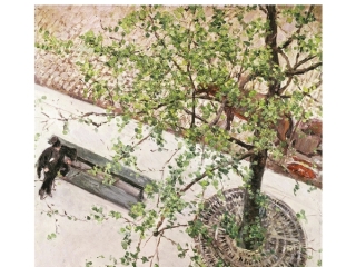 Agrandir l'image - fenêtre modale - Couverture de l'ouvrage Adolphe Alphand et la construction du paysage de Paris.