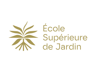 Agrandir l'image - fenêtre modale