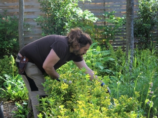 Agrandir l'image - fenêtre modale