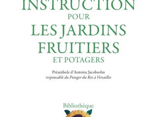 Agrandir l'image - fenêtre modale