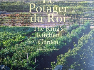 Agrandir l'image - fenêtre modale