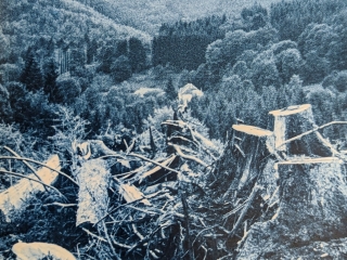 Agrandir l'image - fenêtre modale - Couverture Les cicatrices du paysage