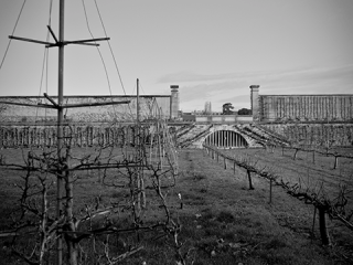 Agrandir l'image - fenêtre modale - Vue du jardin 3e des Onze au Potager du Roi.