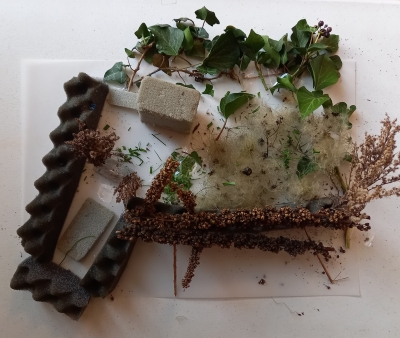 Agrandir l'image - fenêtre modale