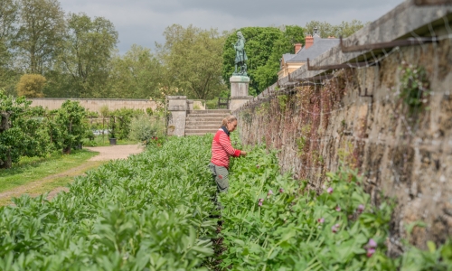 Agrandir l'image - fenêtre modale