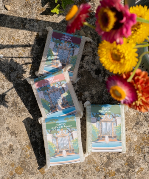 Agrandir l'image - fenêtre modale