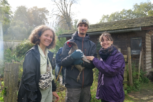 Agrandir l'image - fenêtre modale