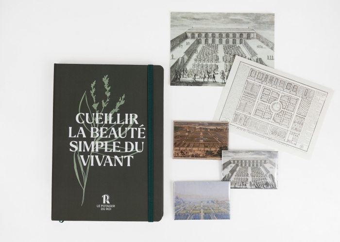 Agrandir l'image - fenêtre modale