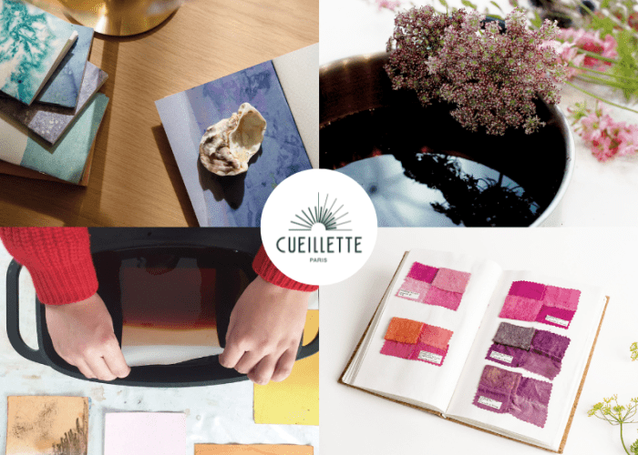 Agrandir l'image - fenêtre modale